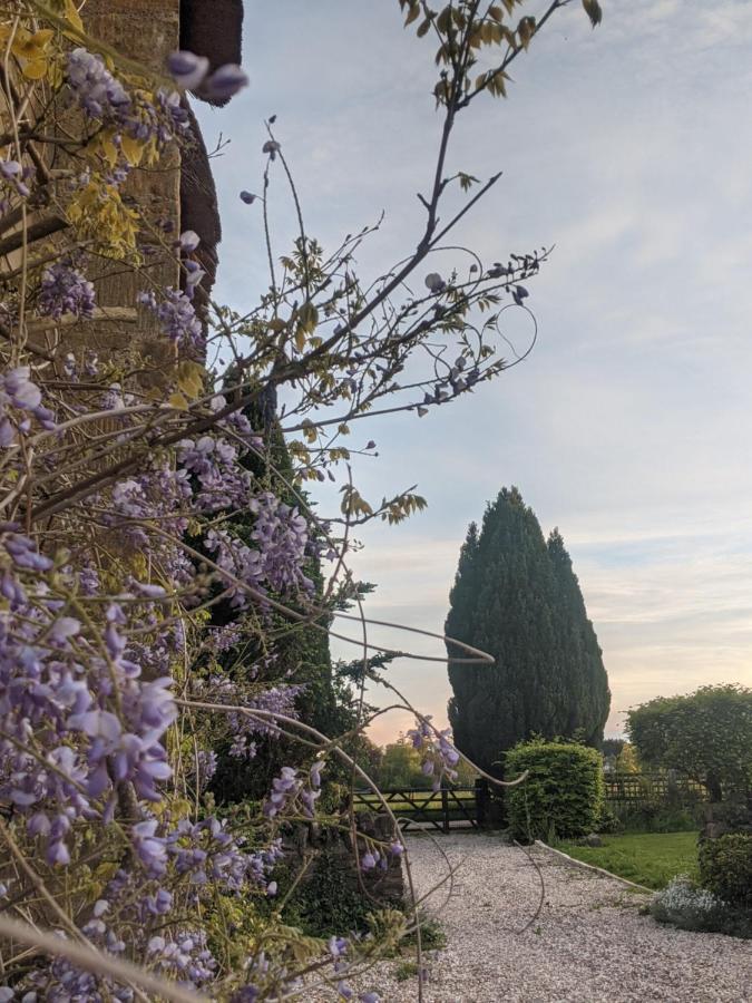 Aldon Farmhouse Villa Yeovil Eksteriør billede