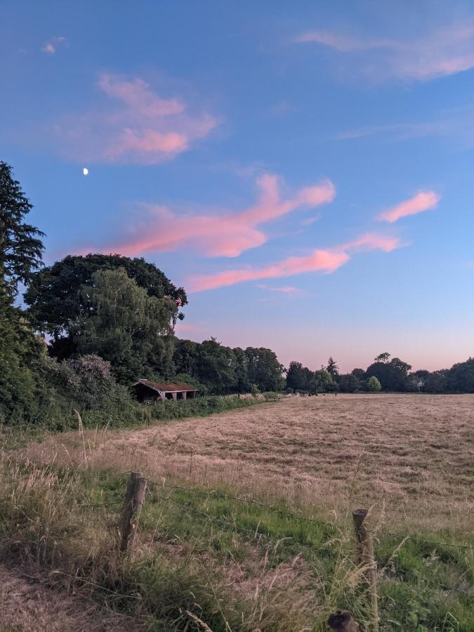Aldon Farmhouse Villa Yeovil Eksteriør billede